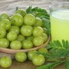 satvic refreshing gooseberry juice